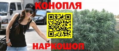 гидропоника Заводоуковск