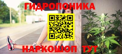 трава Заволжье