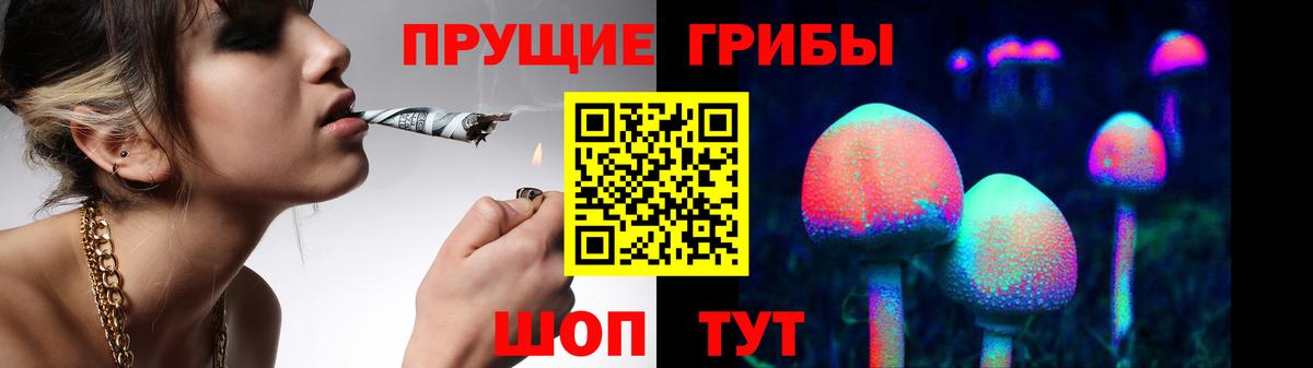 Галлюциногенные грибы Psilocybine cubensis  Галлюциногенные грибы Psilocybine cubensis  Луховицы  Вход с VPN 